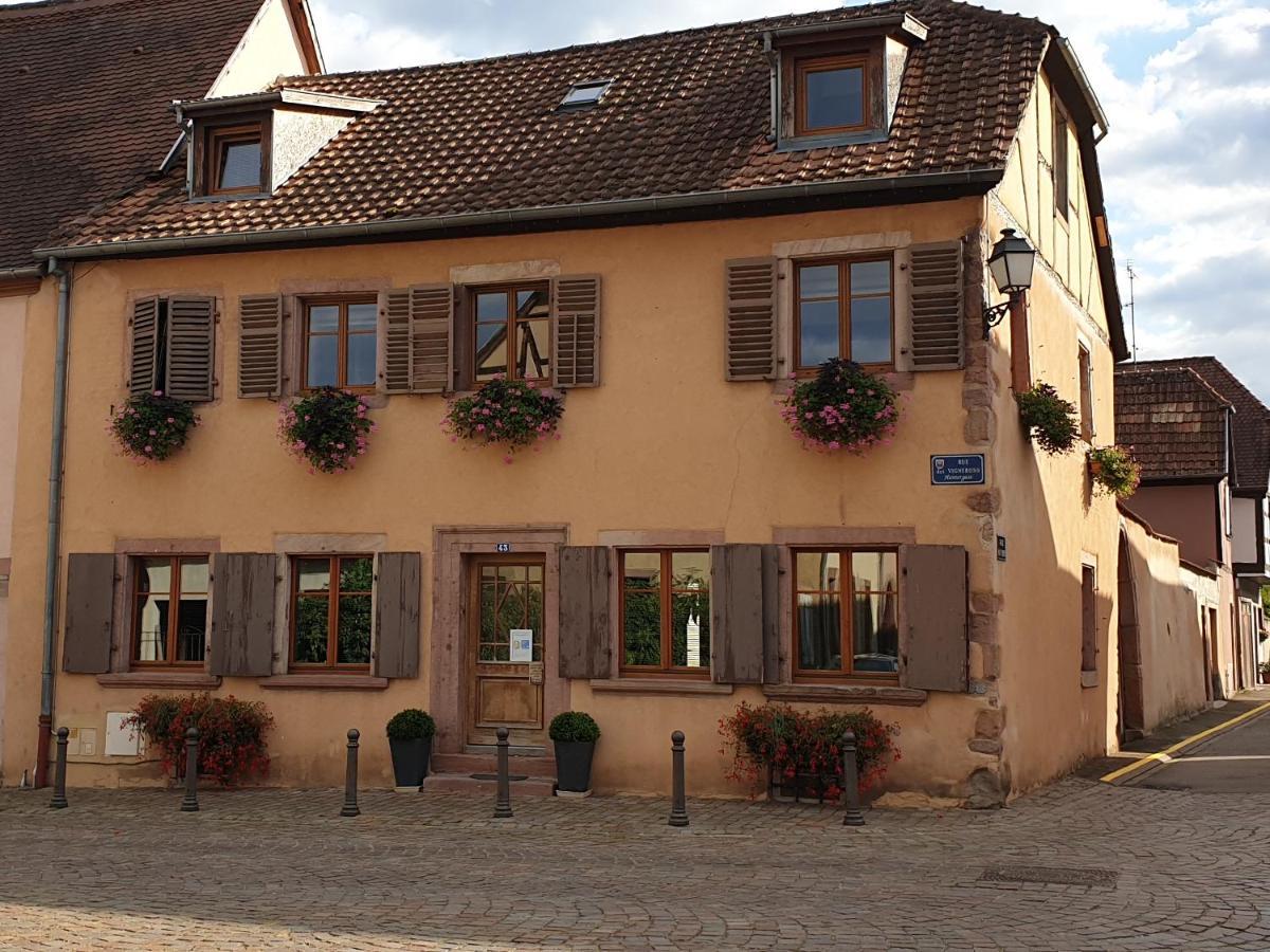 Chez Laurette A Bergheim Apartment Ngoại thất bức ảnh